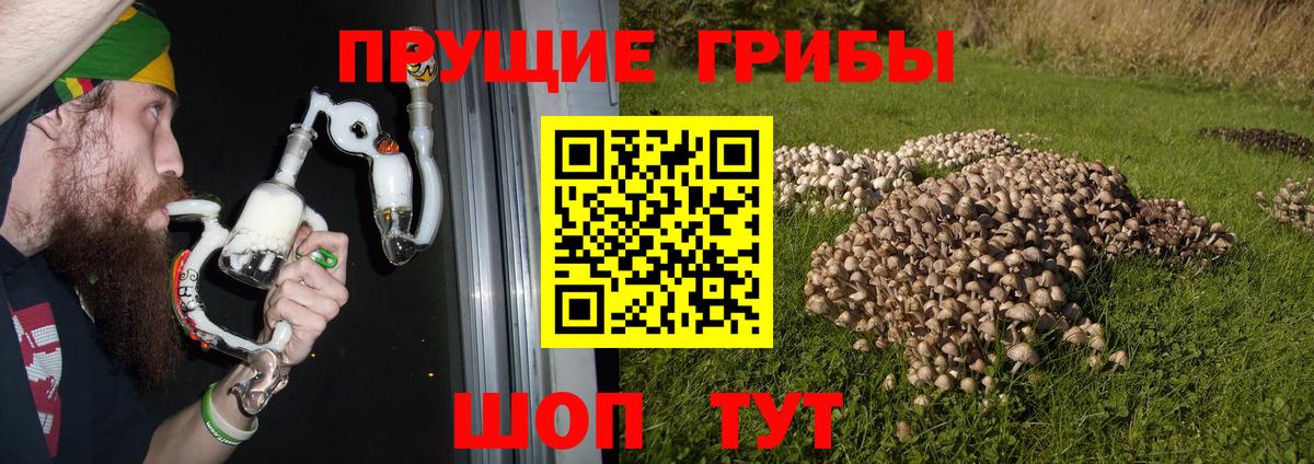 Псилоцибиновые грибы Magic Shrooms  Вход с VPN  Павловский Посад 