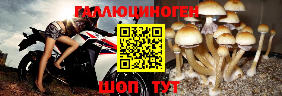 Галлюциногенные грибы мухоморы Павловский Посад
